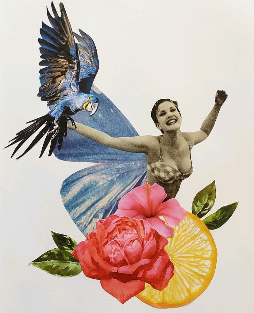 colagem lidy araujo para texto voe